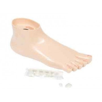 Pied Training Pedicurie Avec Faux Ongles