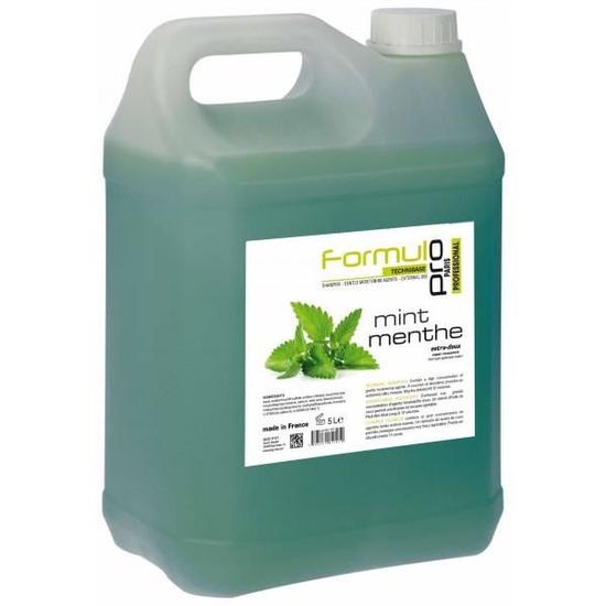 SHAMPOING FORMUL PRO TECHNIBASE - MENTHE 5L - shampooing - Yolo Cosmetic - hbb24